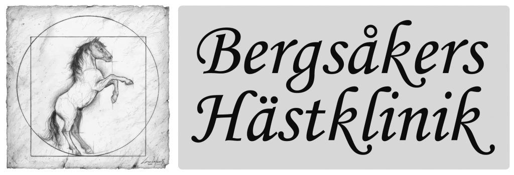 Bergsåkers Hästklinik logotyp